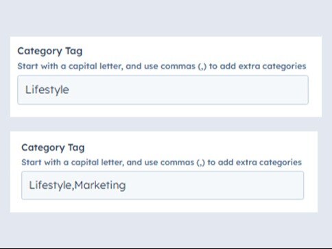 Add One or Multiple Category Tags