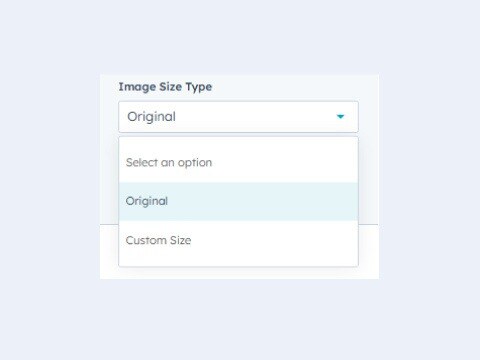 Image Size Options