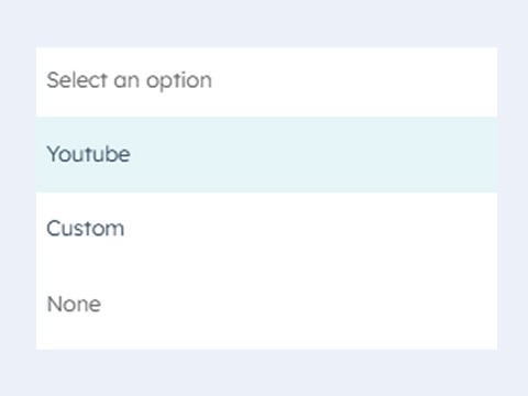 Video Display Options