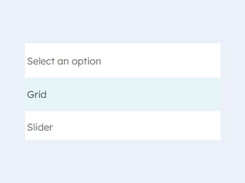 Grid/ Slider Option