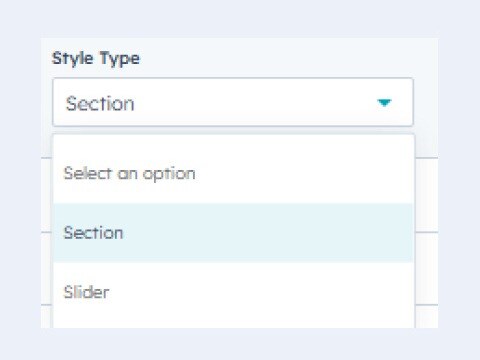 Section and Slider Options